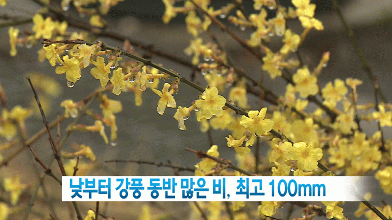 날씨1