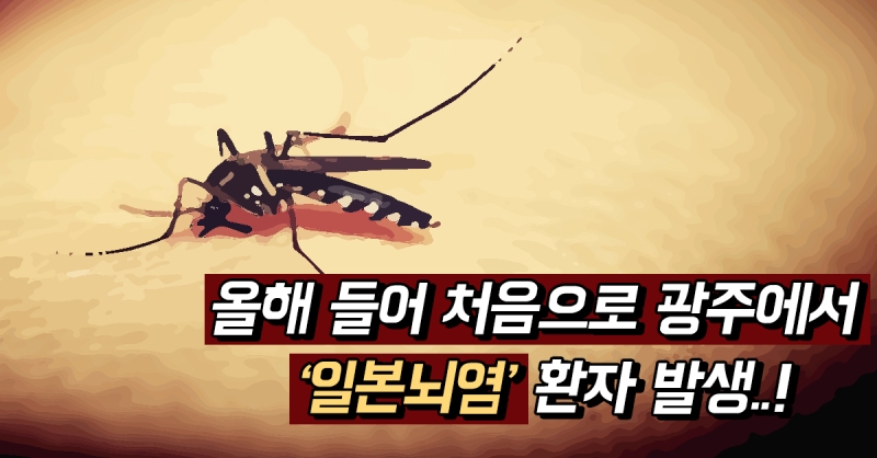일본뇌염
