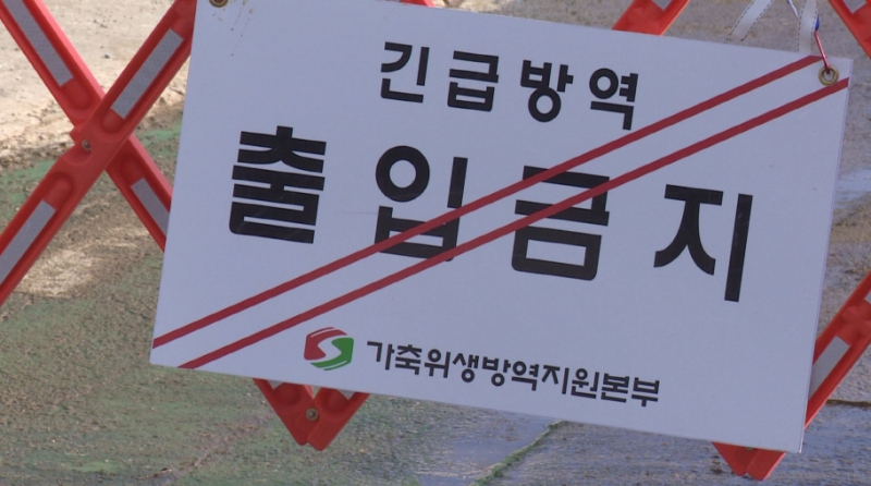 [크기변환]무안 육용오리 농장 고병원성 AI 확진(CT_V000000259148).mxf_20220116_133405.017