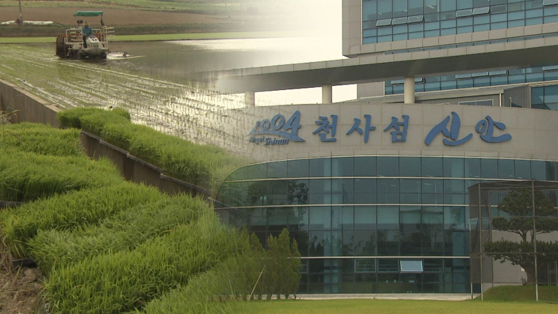 신안군