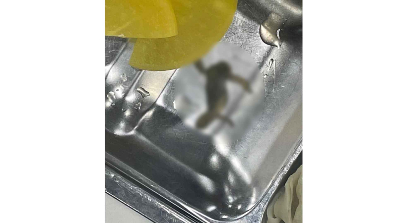 [크기변환]개구리